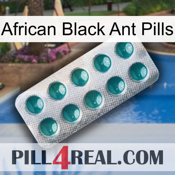 African Black Ant Pills dapoxetine1.jpg